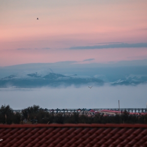 anthonybrebant-cfshossegor-019428